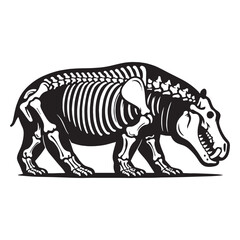 Fossil beauty of a river giant – Hippopotamus skeleton silhouette refined with Hippopotamus skeleton vector – Hippopotamus skeleton illustration

