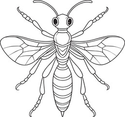 Mud dauber insect drawing for bug study and coloring book fun