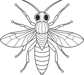Sawfly insect anatomy drawing for kids learning and coloring activities