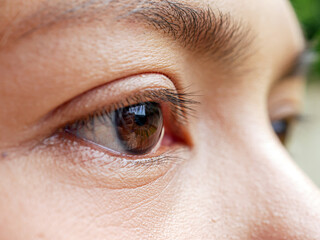Close-up image showcasing the beautiful brown eyes of a asian woman with natural makeup. Ideal for...