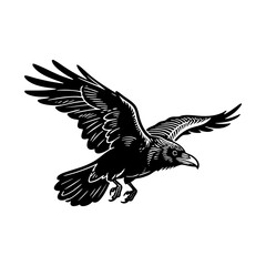 Obraz premium Crow flying sketch engraving black and white outline. Scratch board imitation. illustrated in vintage line art style on a white background.