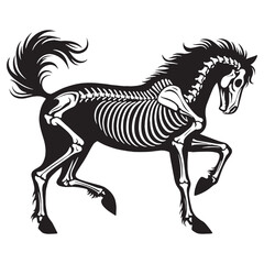 Fototapeta premium From anatomy to artistry – Horse skeleton silhouette aligned with clean Horse skeleton vector – Horse skeleton illustration