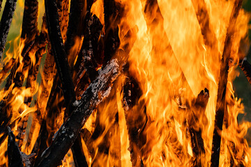 Burning Wood, Campfire, Vibrant Flames,