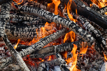 Burning Wood, Campfire, Vibrant Flames,
