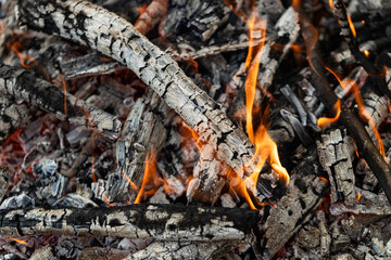 Burning Wood, Campfire, Vibrant Flames,