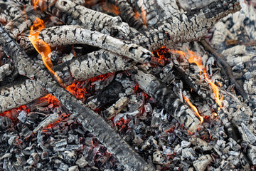 Burning Wood, Campfire, Vibrant Flames,
