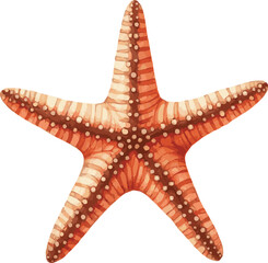 Watercolor Vector Illustration of a Starfish