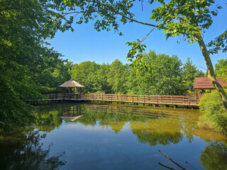 Fototapeta premium Scenic Lakeside Gazebo with Tranquil Water View