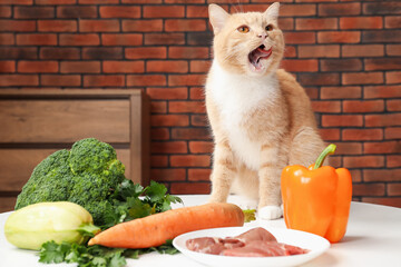 Cat and different vegetables on white table indoors. Pet's balanced diet