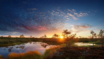 Obraz premium sky and the forest in the morning estonian bog beautiful landscape sunset