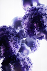 Esferas violetas esponjosas que recuerdan hongos o estructuras micro-orgánicas crecen sobre formas biomórficas brillantes. El blanco limpio aporta una estética científica y surrealista a la escena.