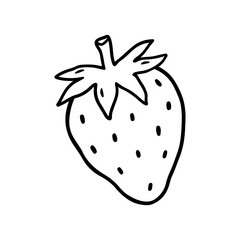 Strawberry isolated on a white background. Vector hand-drawn illustration in outline style. Perfect for cards, decorations, logo, menu, recipes, various designs.