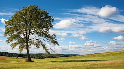 Obraz premium landscape falling tree