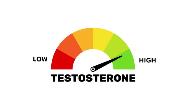 Animated Testosterone Level Meter, Male Hormone Indicator with Low High Scale on White Background