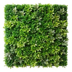 Obraz premium Lush Green Vertical Garden Wall Panel with Various Plants and Textures