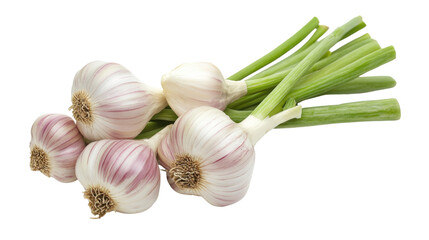 Fresh green garlic isolated on white background