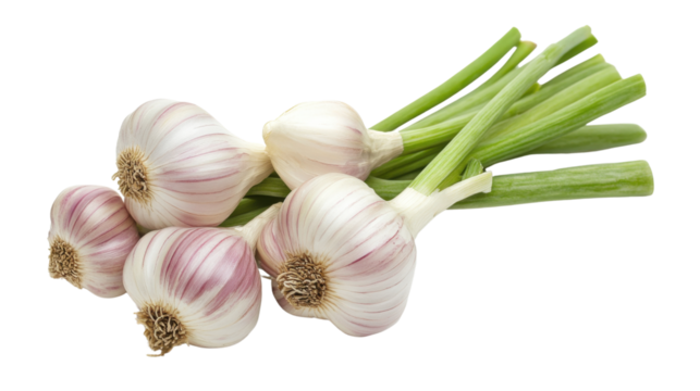Fresh green garlic isolated on white background