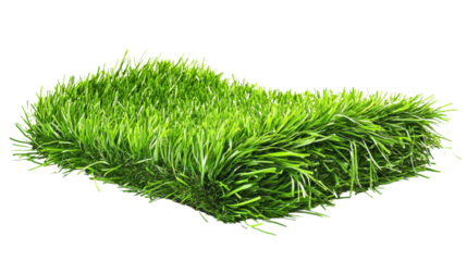 Artificial grass rug isolated on white background