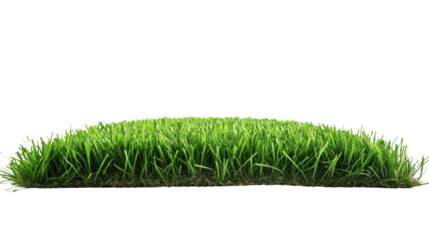 Synthetic grass carpet isolated on white background