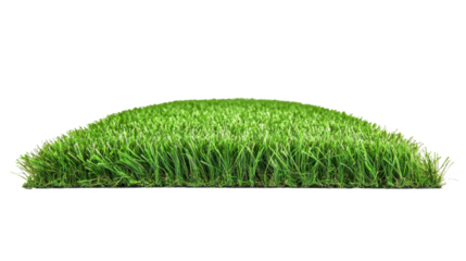 Synthetic grass carpet isolated on white background