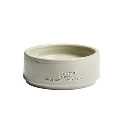 Sage Green Ceramic Pet Bowl with Inspirational Quote "Another Mess, Another Miracle"