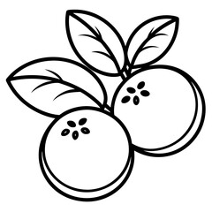 Blueberry line art vector