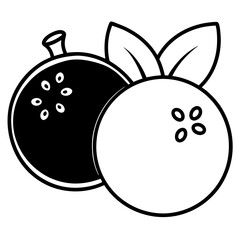 Blueberry line art vector