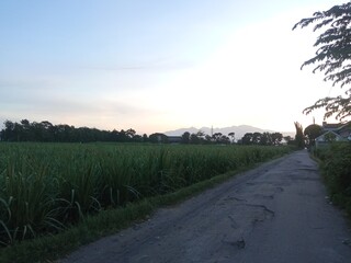 Quiet Country Road in the Morning with Mountain Views in the Distant