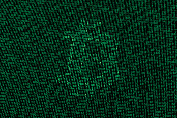 Bitcoin in the Data