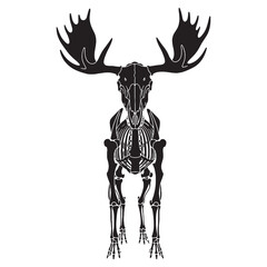 A northern icon in line and form – Moose skeleton silhouette matched with minimalist Moose skeleton vector – Moose skeleton illustration

