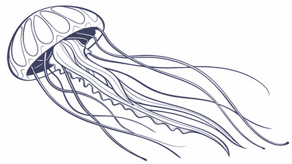 Jellyfish illustration vector drawing of marine animal for coloring page and design projects art outline