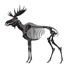From forest floor to fossil – Moose skeleton silhouette rendered as Moose skeleton vector – Moose skeleton illustration

