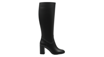 Isolated Black Knee High Boot