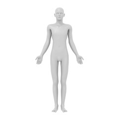 human body, 3d rendered model, transparent png available
