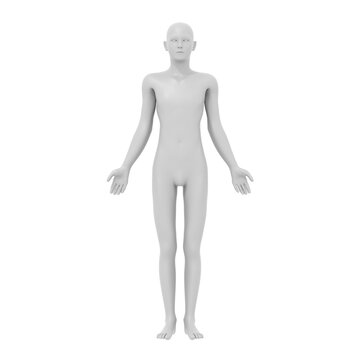 human body, 3d rendered model, transparent png available