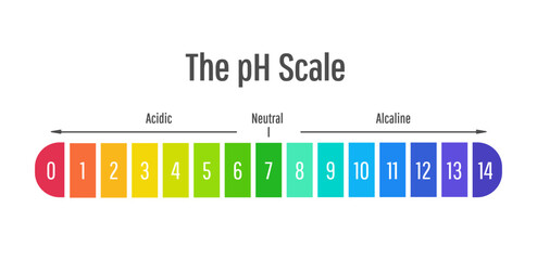pH acidity scale. Acid to alkaline chart. PH levels. Chemistry diagram