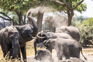 Elefanten im Tarangire Nationalpark