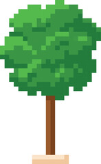 Green tree pixel art vector illustration, cartoon pixelated forest plant isolated, nature flora retro 8 bit game asset