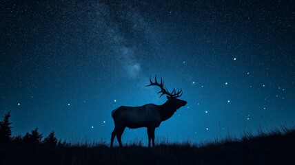 An elk stands gracefully in a serene landscape under a canopy of twinkling stars at night.