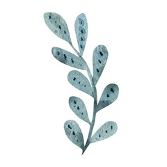 Green seaweed, sprig, kelp with a round texture. Watercolor botanical illustration of plant part on white background. Isolated