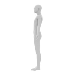 human body, 3d rendered model, transparent png available