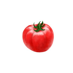 tomato iillustration solated on white background
Watercolor tomato illustration 