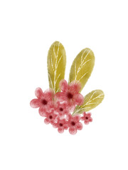 branch with flowers 
Pink flowers isolated on white 