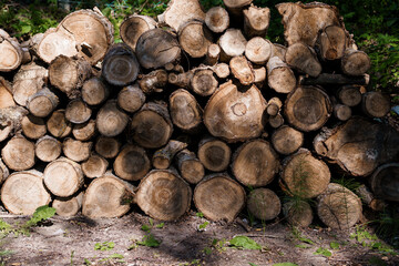Stack of Rough-Cut Firewood Logs Outdoors: Rustic Brown Timber Pile, Natural Forest Background,...