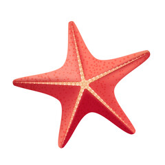 Red starfish on a white background, for decoration.