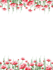 red poppy 
Flower frame 