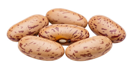 Isolated Pinto beans