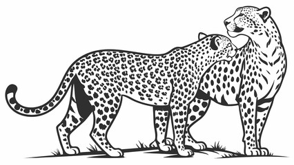Leopard vector illustration black and white drawing of two leopards in love animal illustration art design