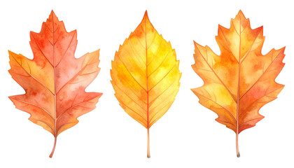 Obraz premium Watercolor illustration of autumn tree leaves