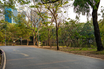 Obraz premium Walk pathway green tree forest city public park